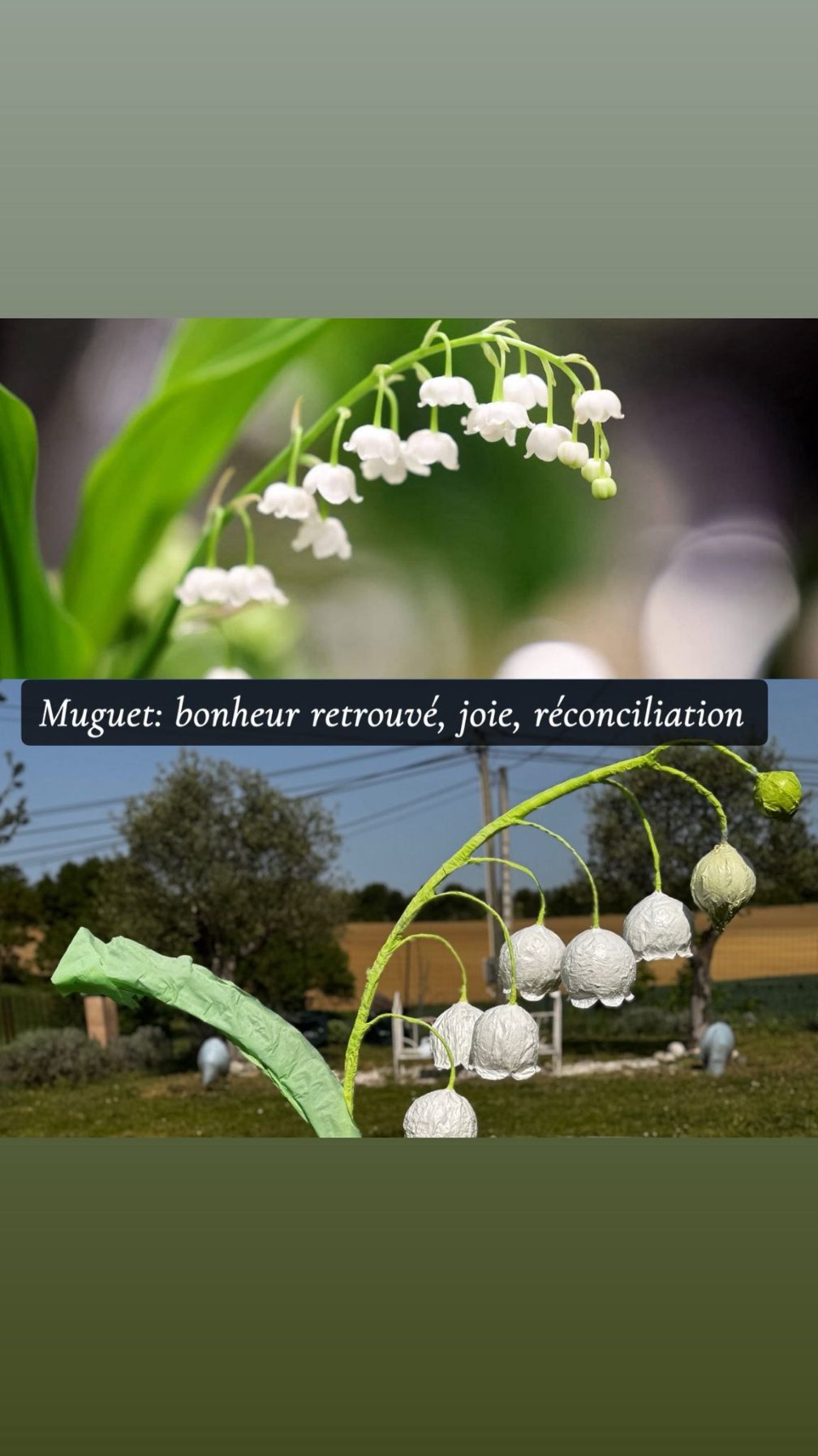 Fleurs blanches, visuel de l'atelier