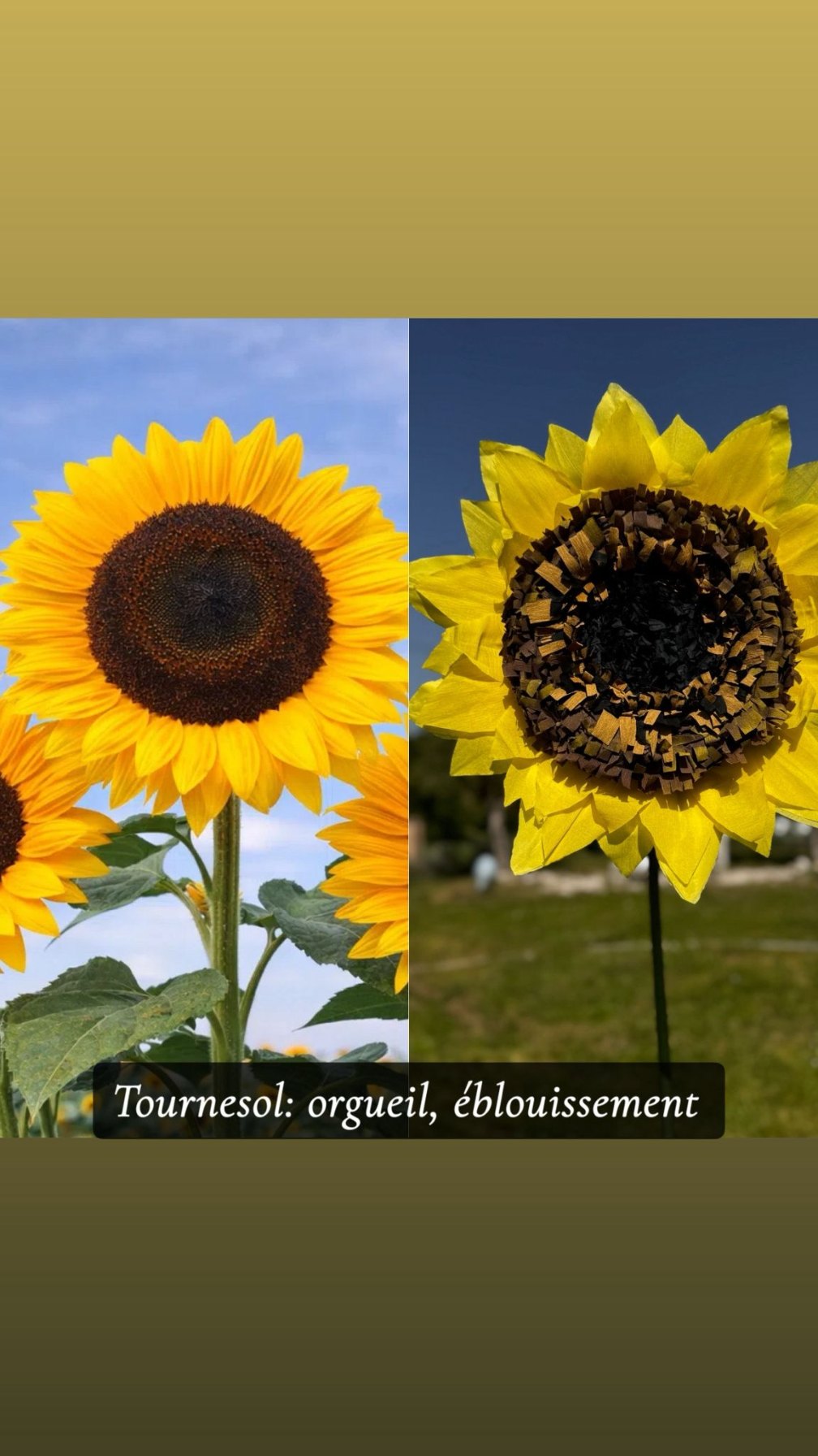 Réalisation florale 17